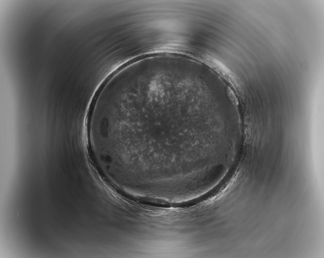 X0000094340892200711021449