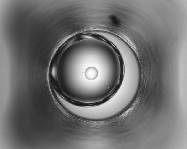 X0000094340893200711021449