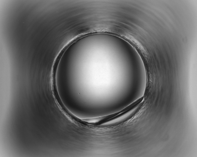 X0000094340894200711021449