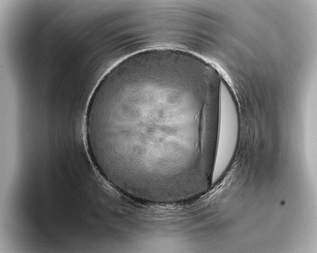 X0000094340895200711021449