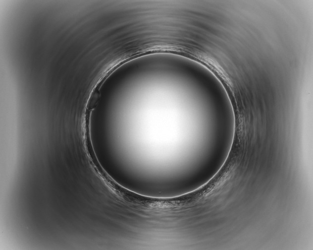 X0000094340898200711021448