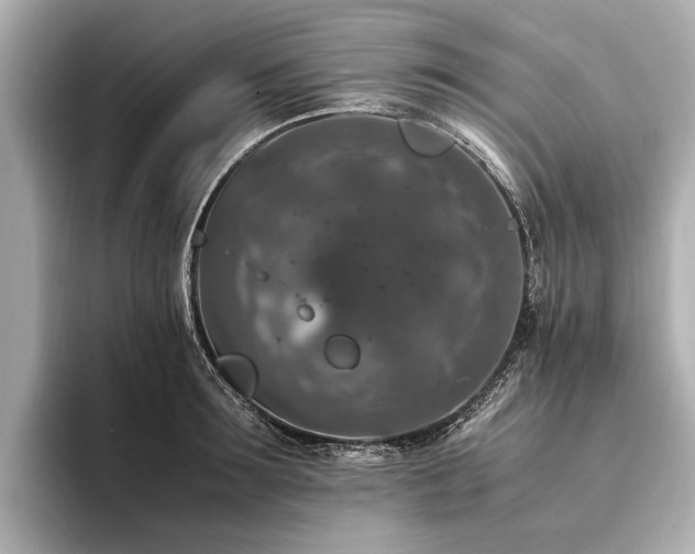 X0000094340899200711021448