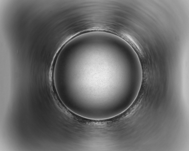 X0000094340900200711021448
