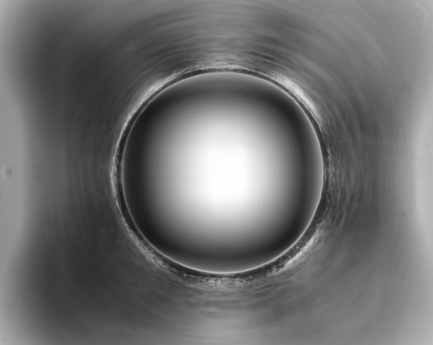 X0000094340901200711021448
