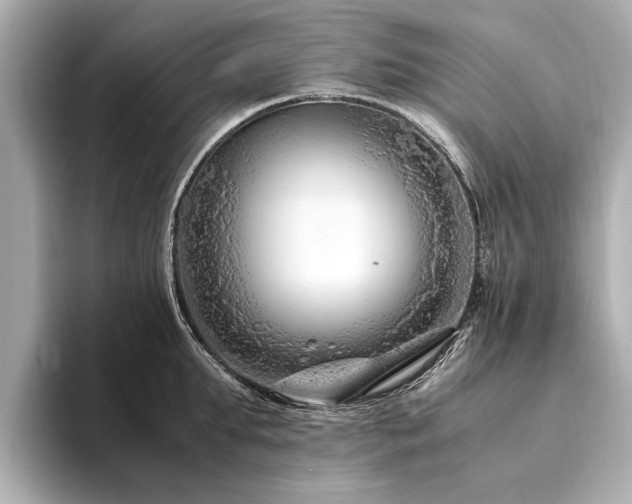 X0000094340903200711021448