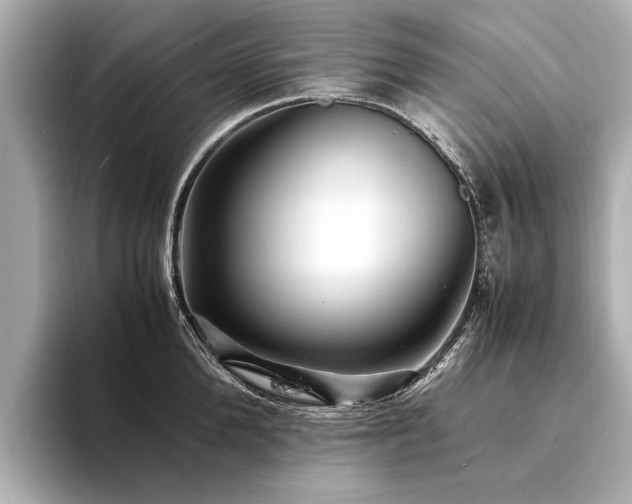 X0000094340904200711021448