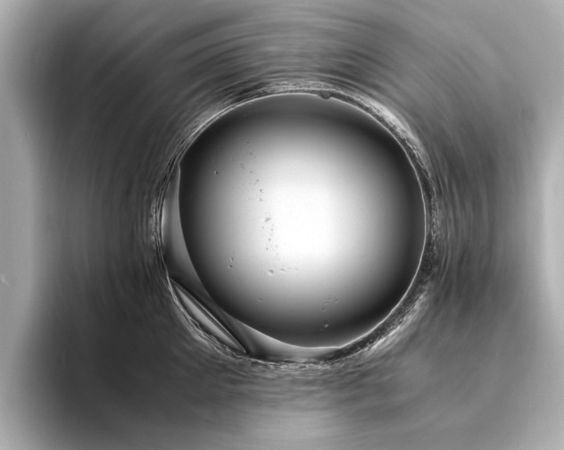 X0000094340905200711021448