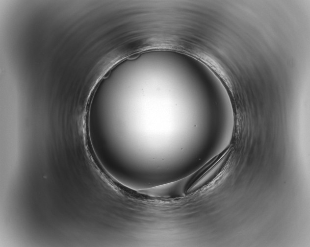 X0000094340906200711021448
