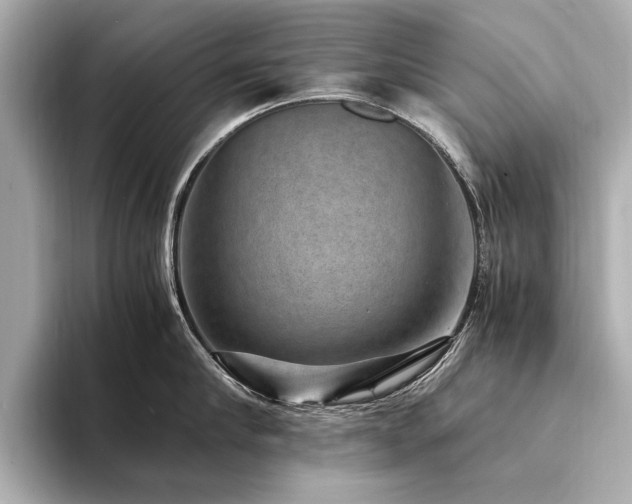 X0000094340910200711021448