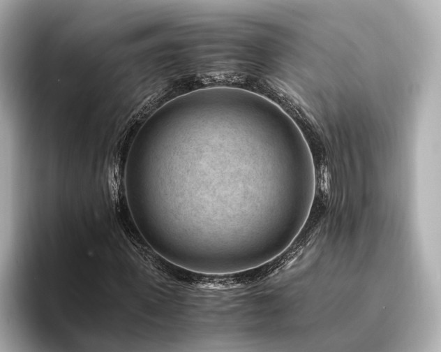 X0000094340915200711021448