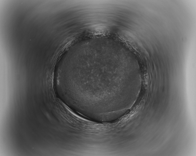 X0000094340916200711021448