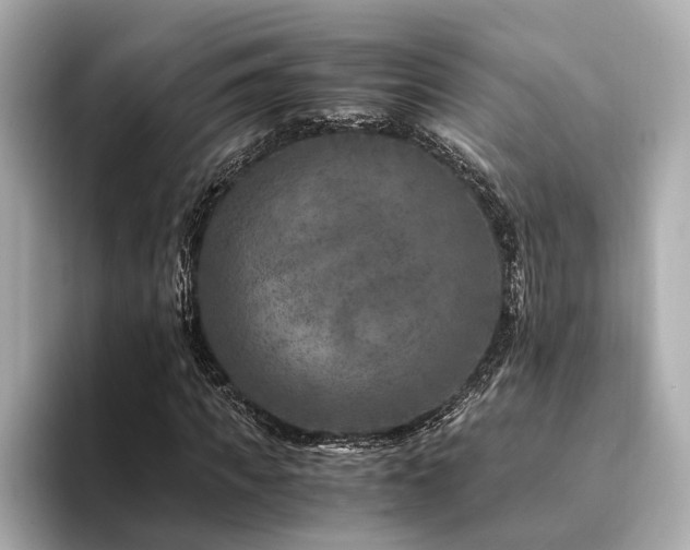 X0000094340917200711021448