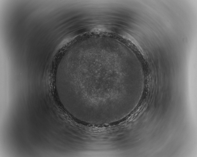 X0000094340919200711021448