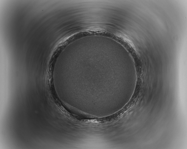 X0000094340920200711021448