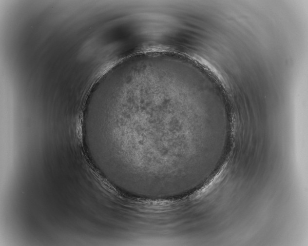 X0000094340921200711021448