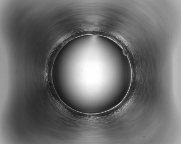 X0000094340922200711021448