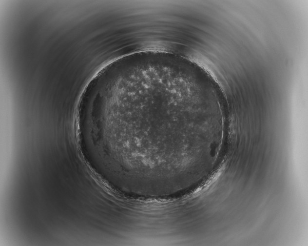 X0000094340923200711021448