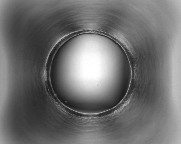 X0000094340924200711021448