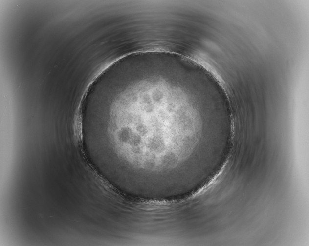 X0000094340925200711021448
