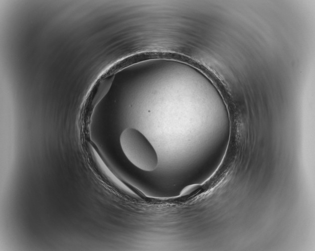 X0000094340926200711021448