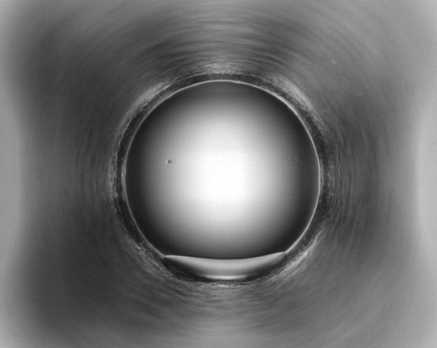 X0000094340930200711021448