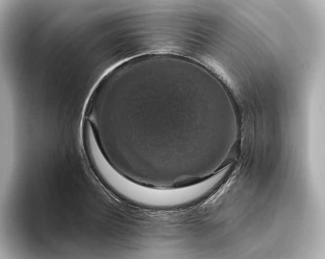 X0000094340932200711021448