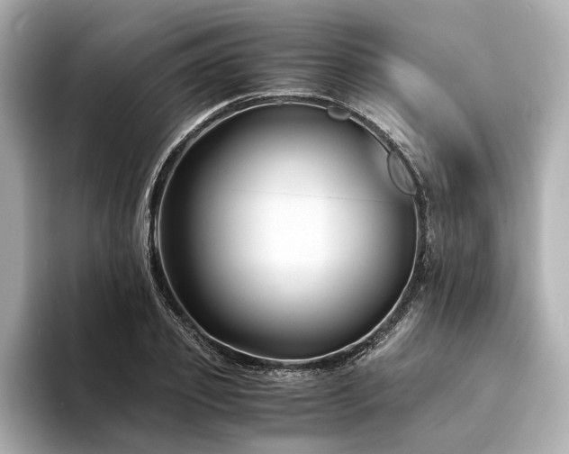 X0000094340933200711021448