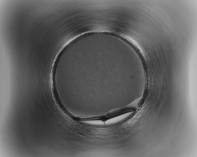 X0000094340935200711021448