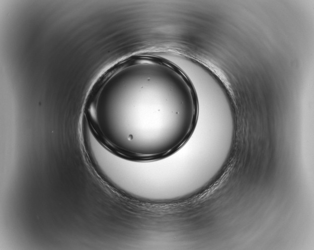 X0000094340936200711021448