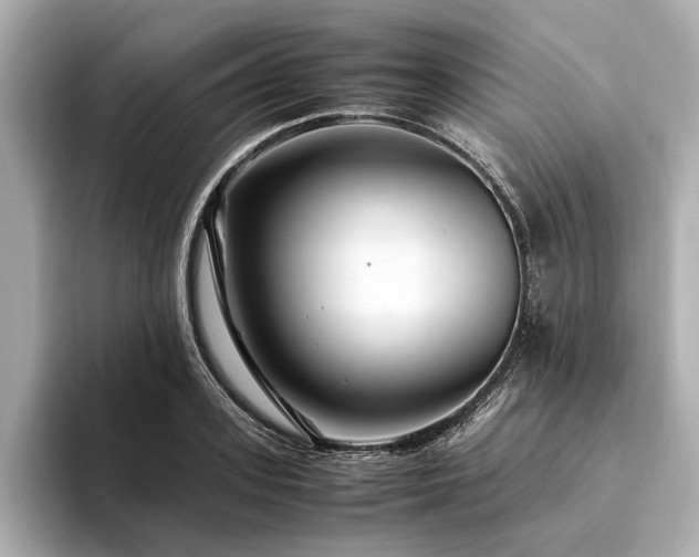 X0000094340939200711021448