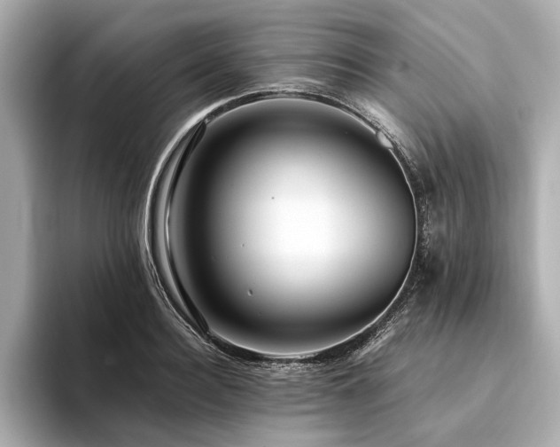 X0000094340940200711021448