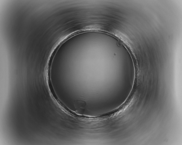 X0000094340941200711021448
