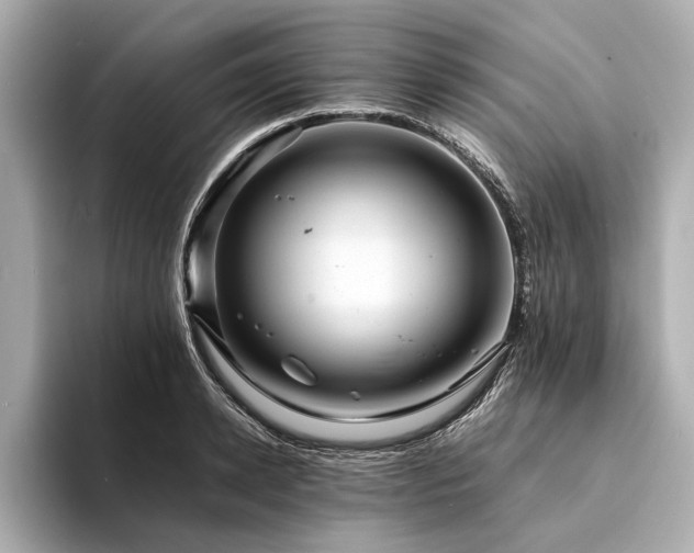 X0000094340942200711021448