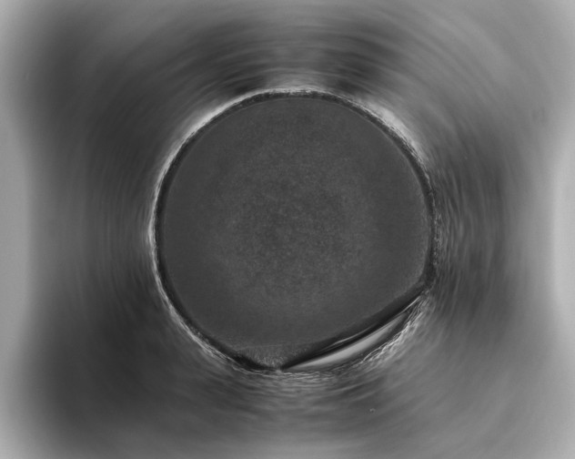 X0000094340943200711021448