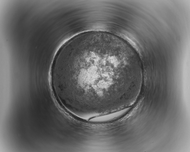 X0000094340944200711021448