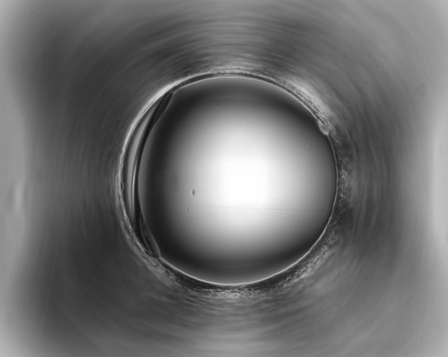 X0000094340948200711021448