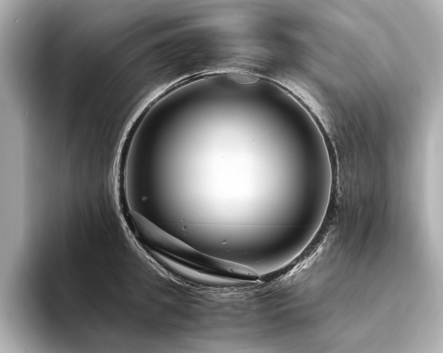 X0000094340949200711021448