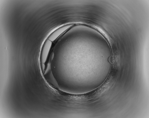 X0000094340951200711021448
