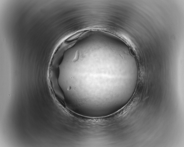 X0000094340952200711021448
