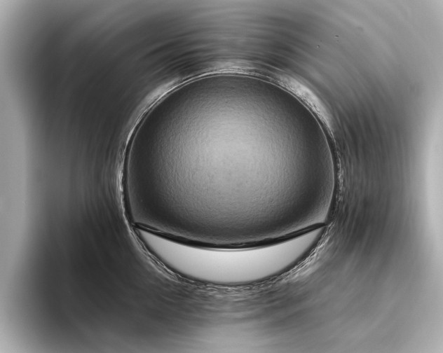 X0000094340954200711021448