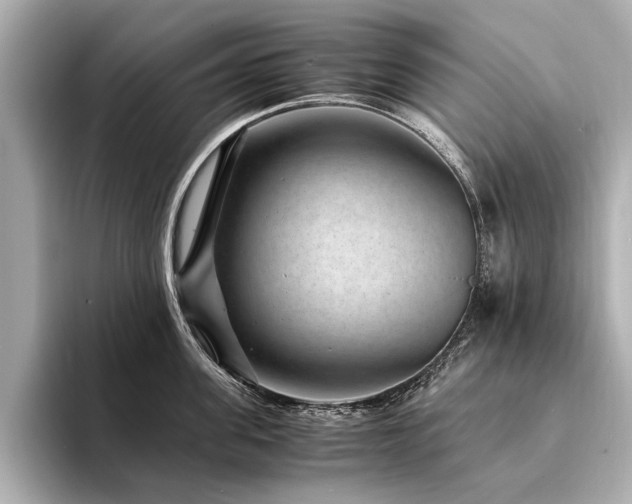 X0000094340955200711021448