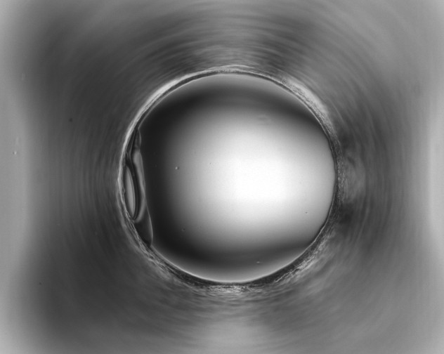 X0000094340956200711021448