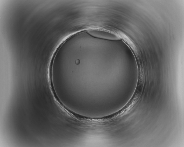 X0000094340958200711021448