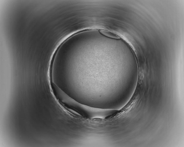 X0000094340959200711021448