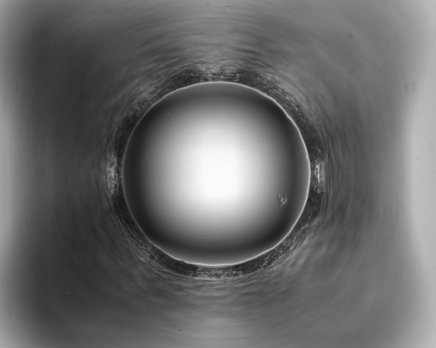 X0000094340963200711021448