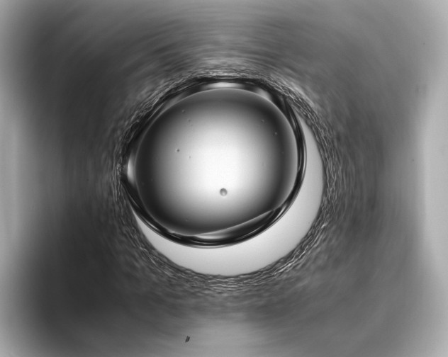 X0000094340965200711021448