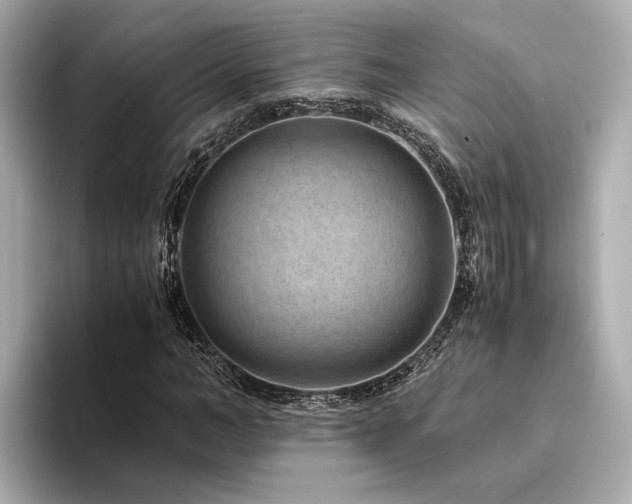 X0000094340966200711021448