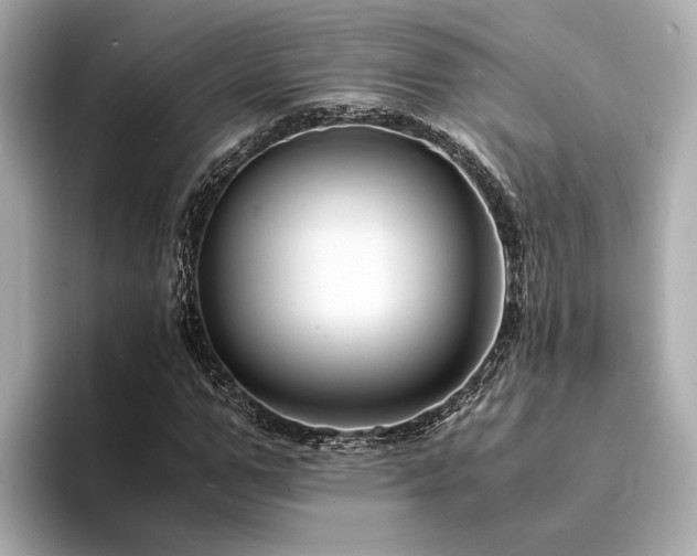 X0000094340967200711021448