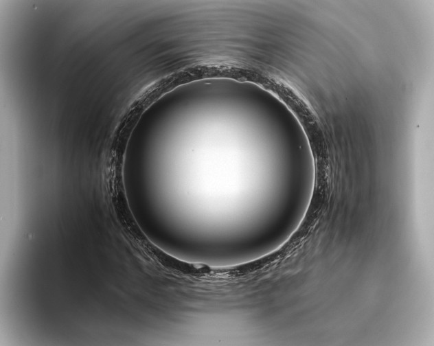 X0000094340968200711021448