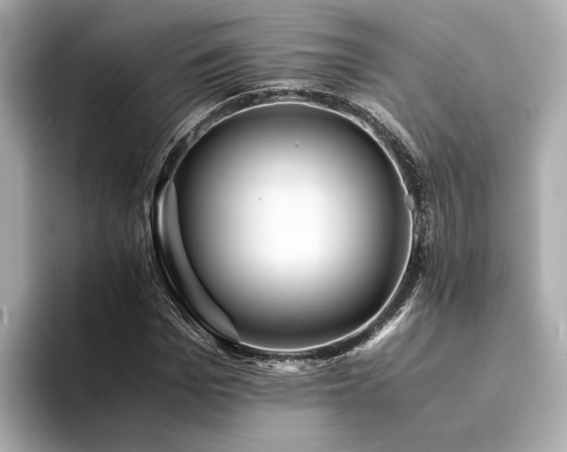 X0000094340969200711021448